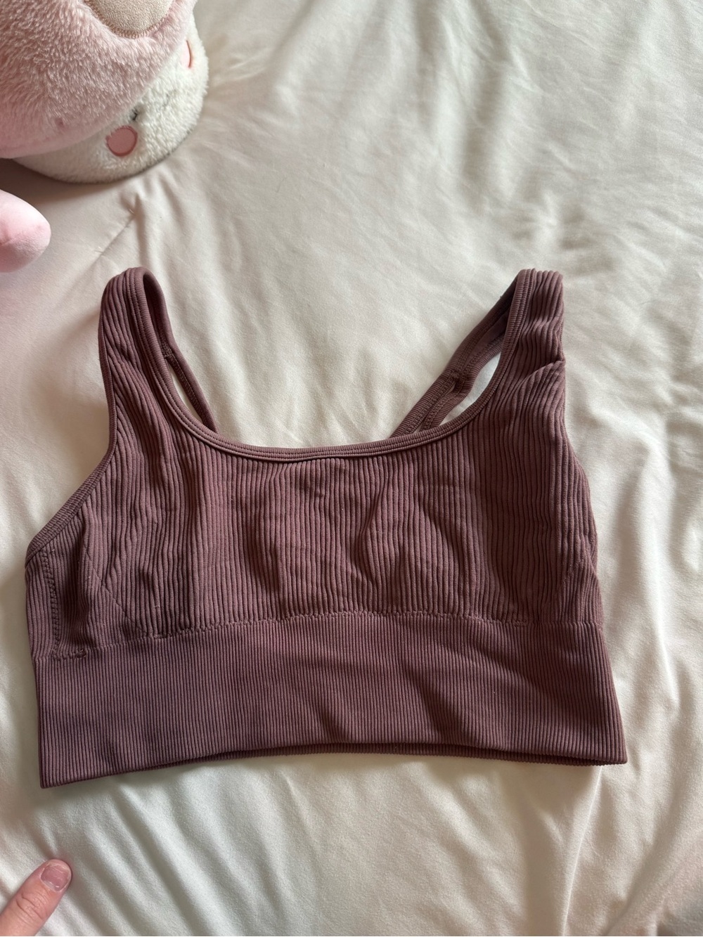 Aerie Ribbed Scoop Bralette in Mauve Rose